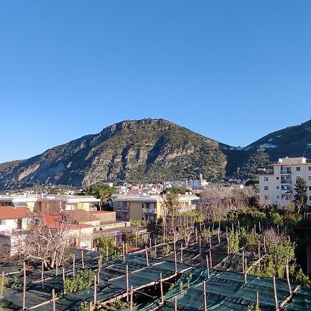 B&B Tina Piano di Sorrento Exterior photo